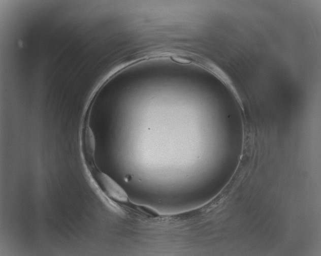 X0000070230811200606021345