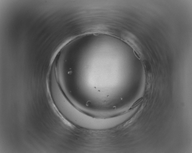 X0000070230812200606021345