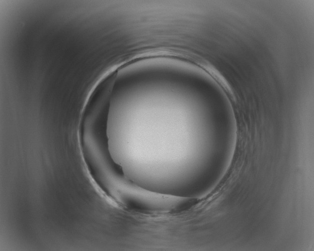 X0000070230813200606021345