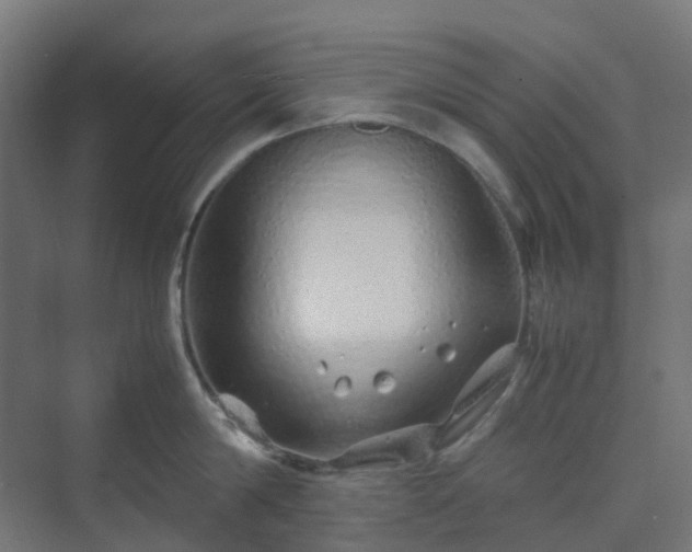 X0000070230814200606021345