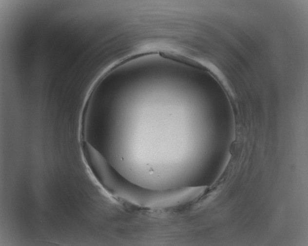 X0000070230815200606021345