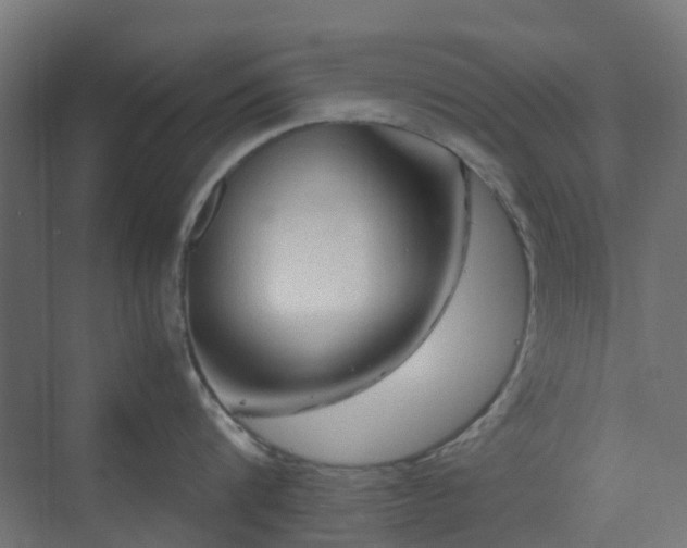 X0000070230816200606021345