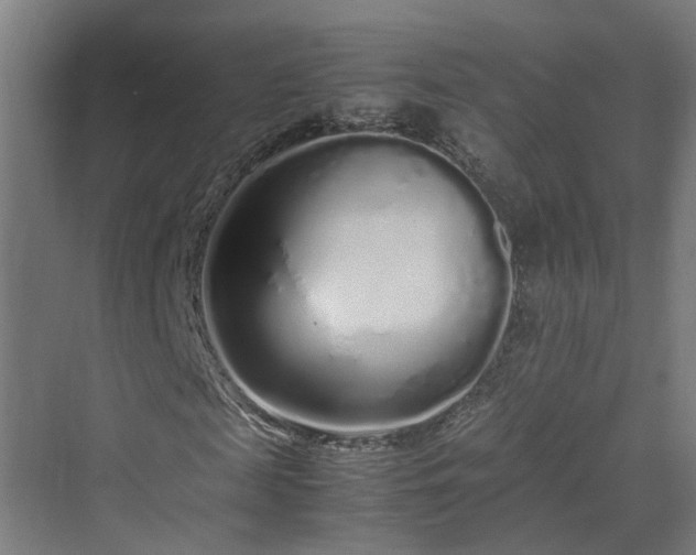 X0000070230817200606021345