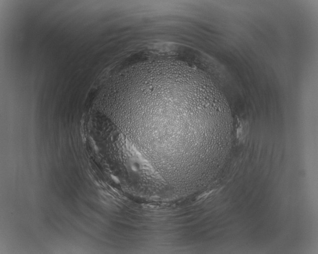 X0000070230819200606021345