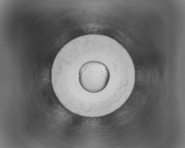 X0000070230820200606021345