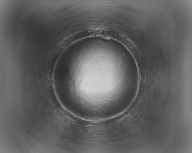 X0000070230821200606021345