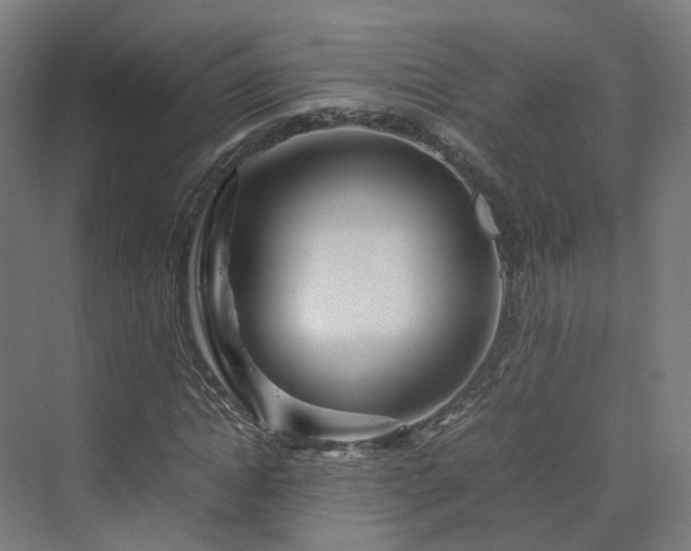 X0000070230822200606021345