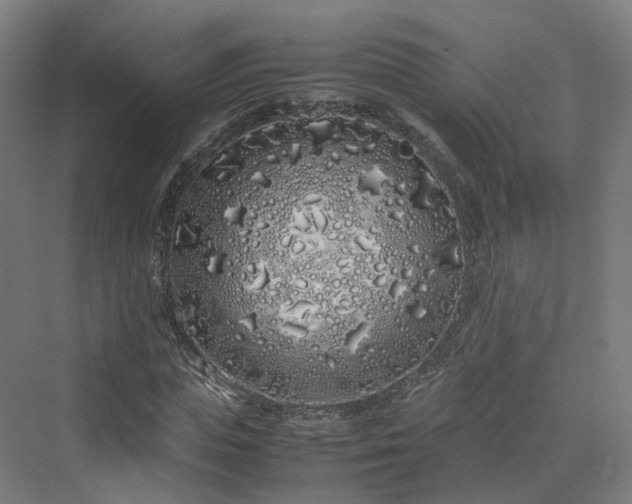 X0000070230823200606021345