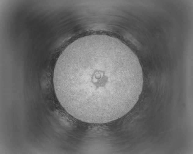 X0000070230824200606021345