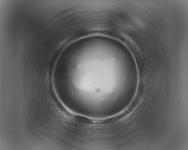 X0000070230825200606021345