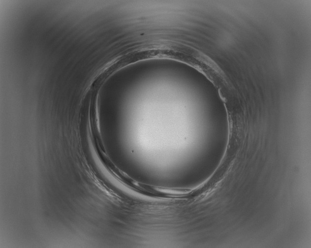 X0000070230826200606021345