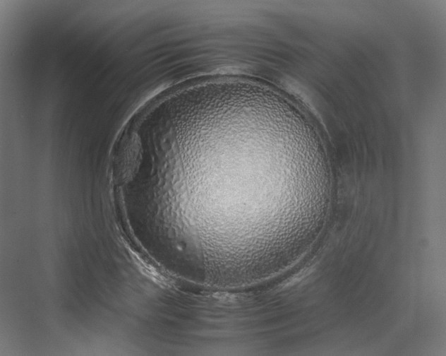 X0000070230827200606021345