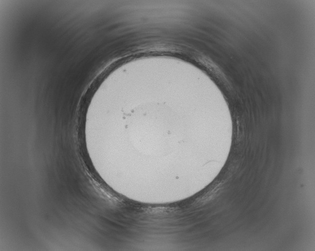 X0000070230828200606021345