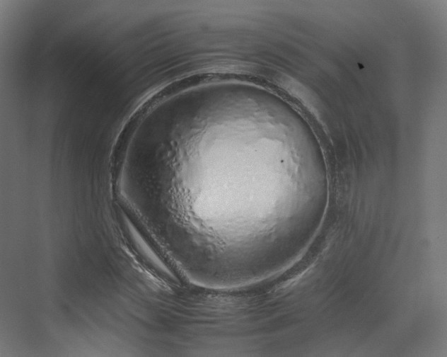 X0000070230829200606021345