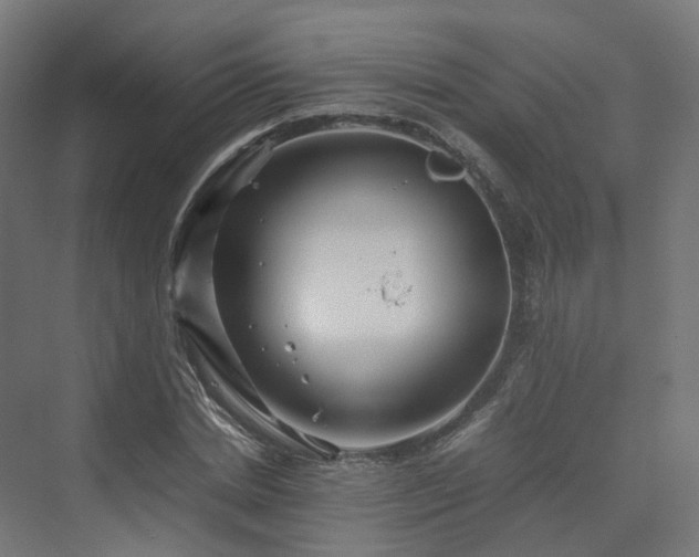 X0000070230830200606021345