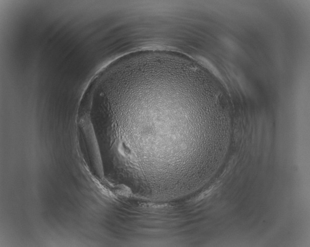 X0000070230831200606021345