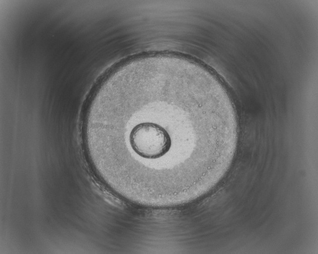 X0000070230832200606021345