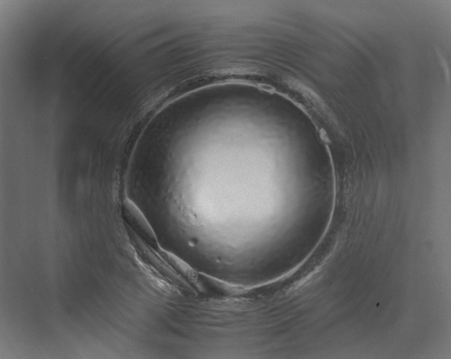 X0000070230833200606021345