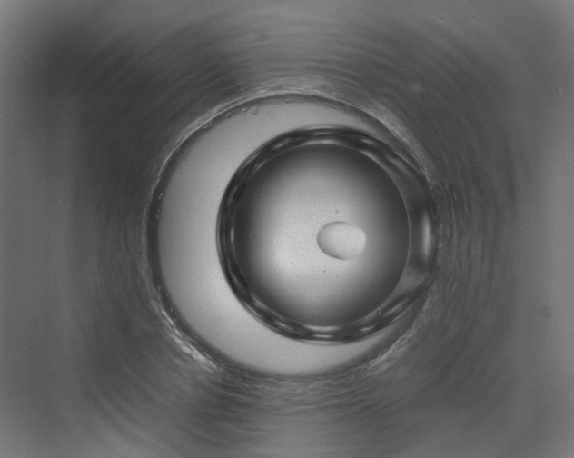 X0000070230834200606021345