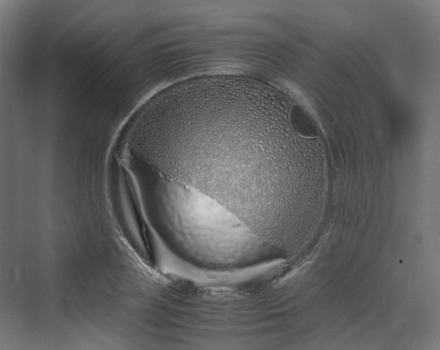 X0000070230835200606021345