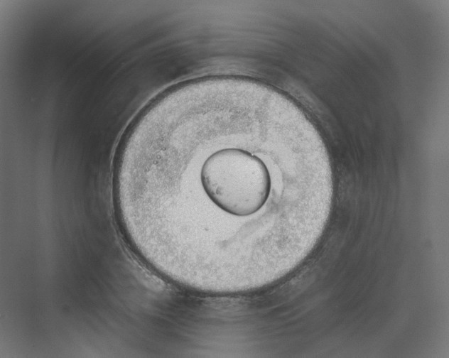 X0000070230836200606021345