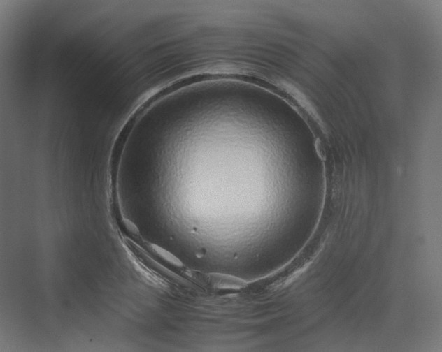 X0000070230837200606021345