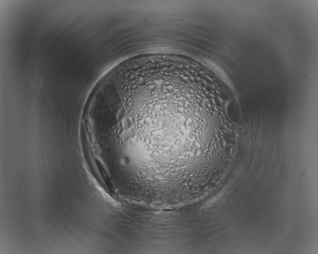 X0000070230839200606021345