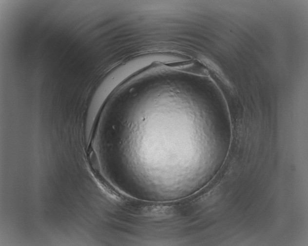 X0000070230841200606021345