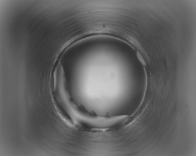 X0000070230842200606021345