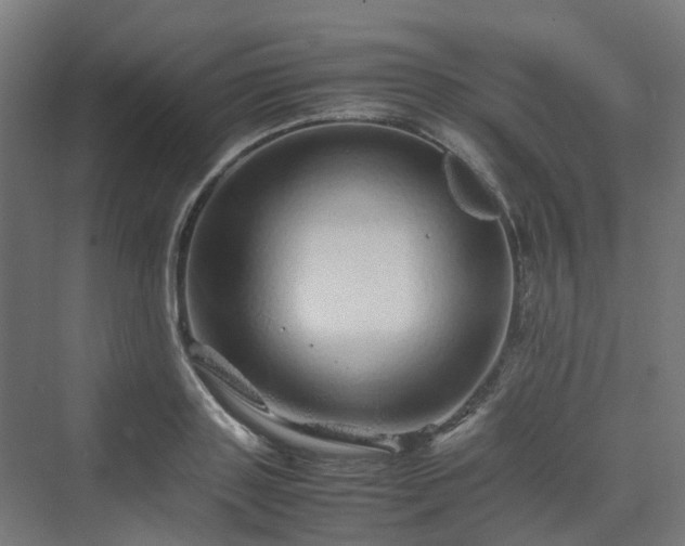 X0000070230843200606021345