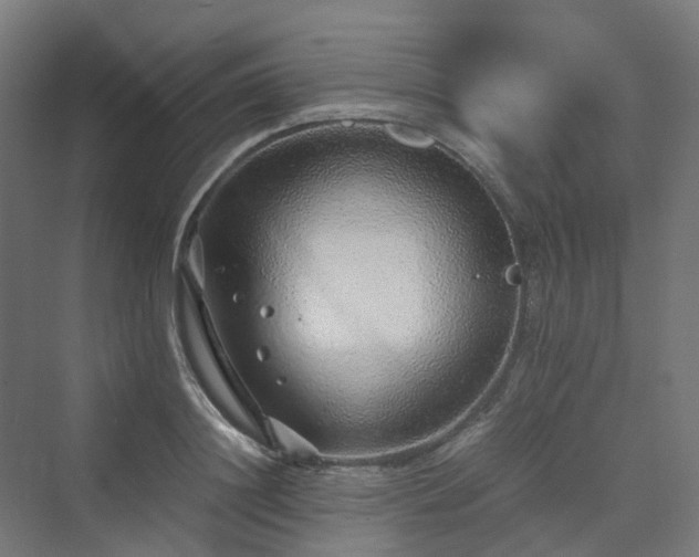 X0000070230844200606021345