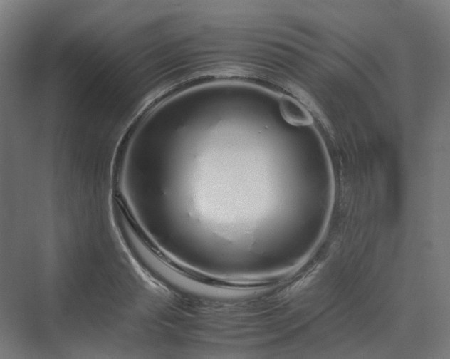 X0000070230845200606021345