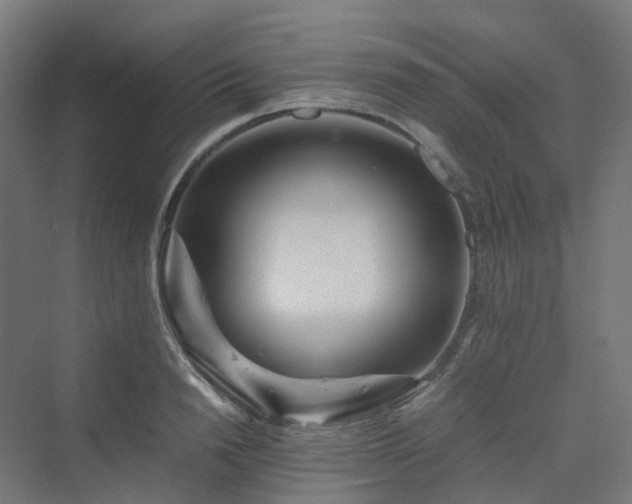 X0000070230846200606021345