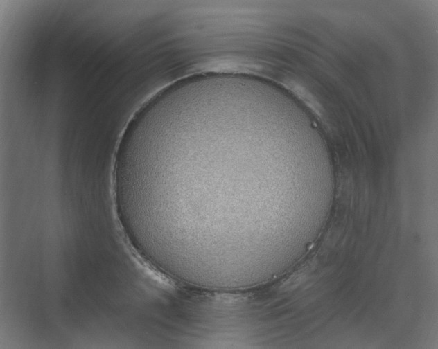 X0000070230848200606021345