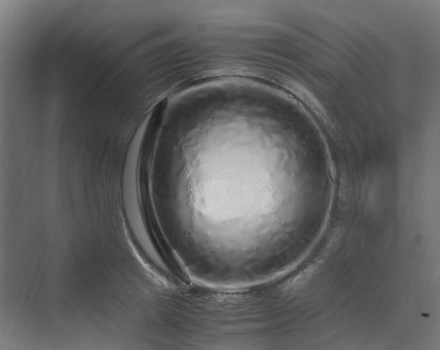 X0000070230849200606021345