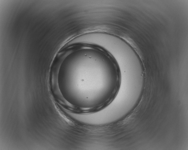 X0000070230850200606021345