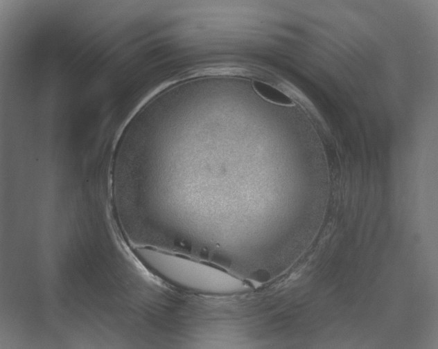 X0000070230852200606021345