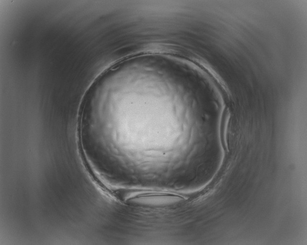 X0000070230853200606021345