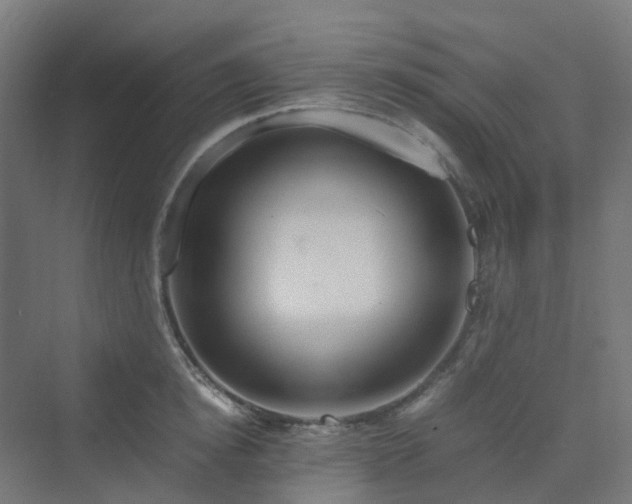 X0000070230854200606021345