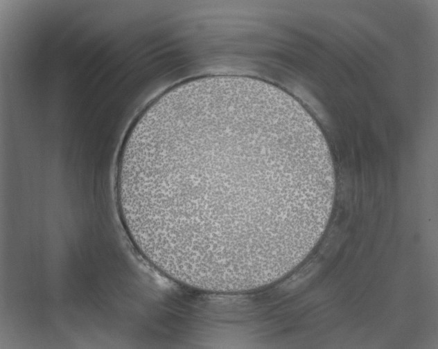 X0000070230856200606021345