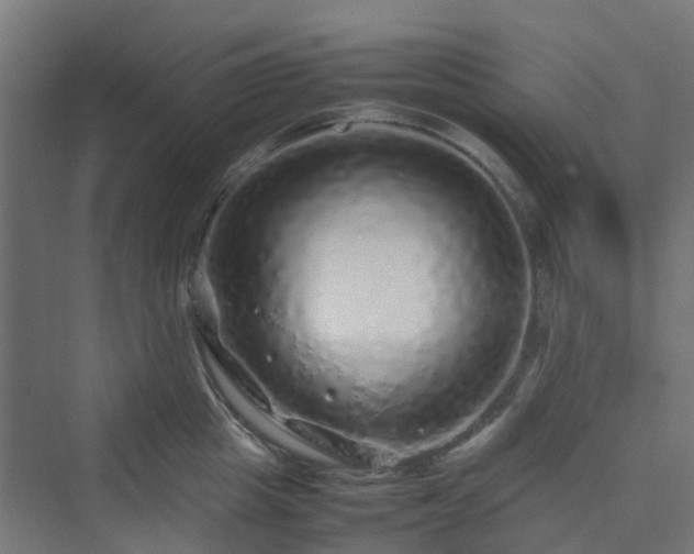 X0000070230857200606021345