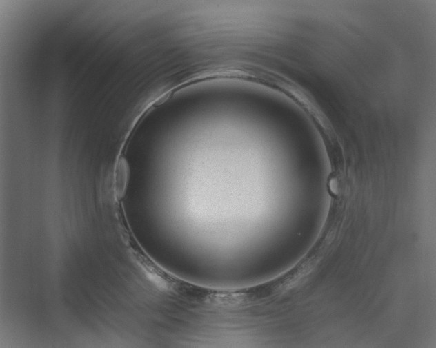 X0000070230858200606021345