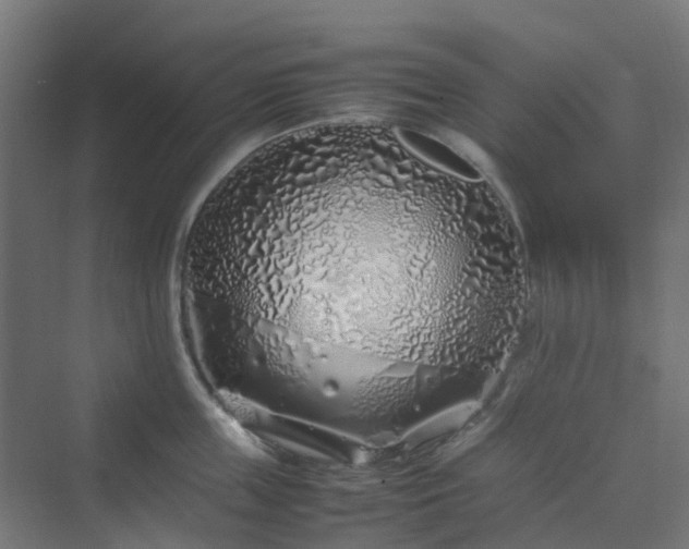 X0000070230859200606021345