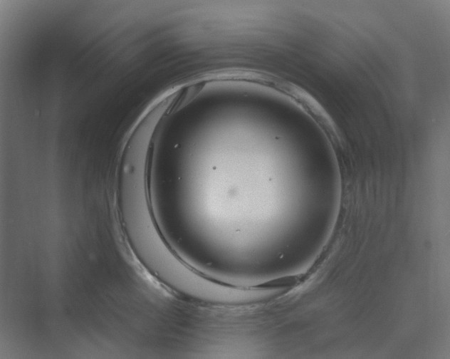 X0000070230860200606021345