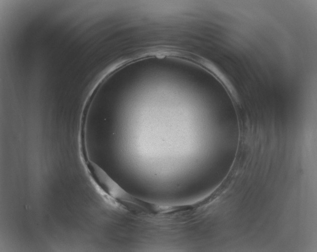 X0000070230861200606021345