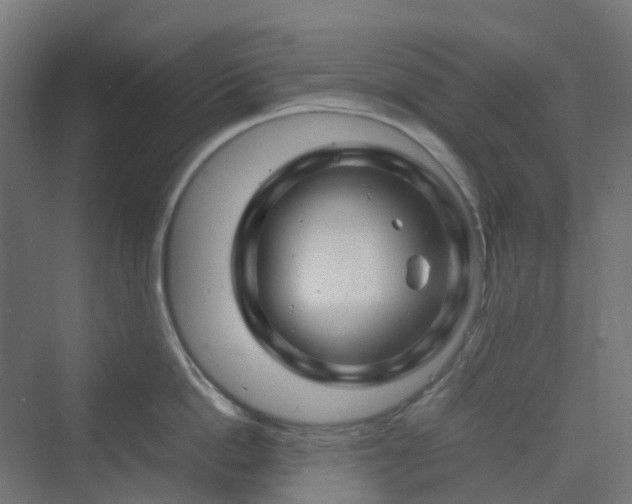 X0000070230862200606021345