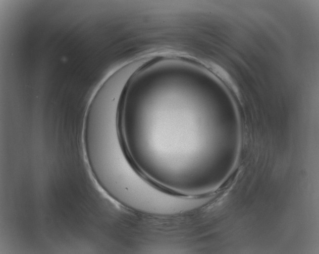 X0000070230863200606021345