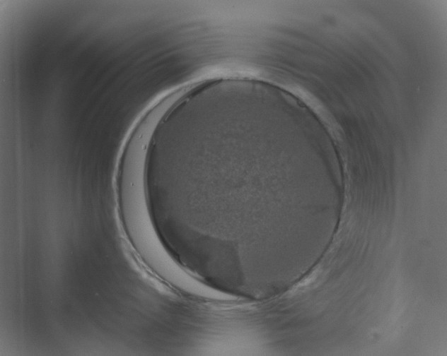 X0000070230864200606021345