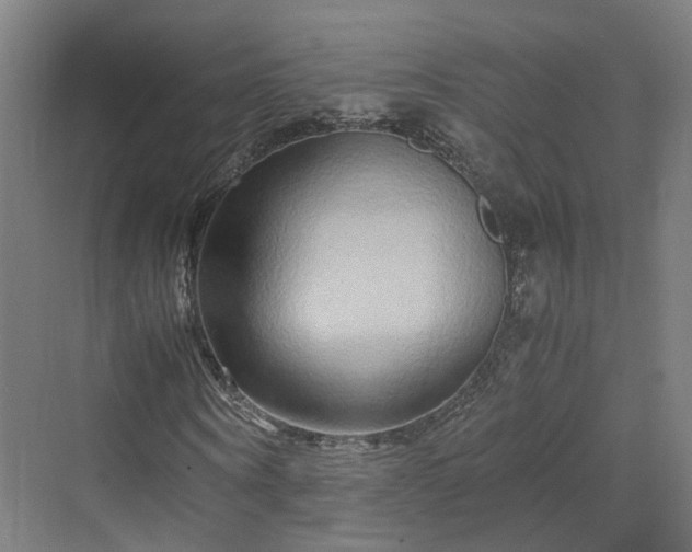 X0000070230866200606021345