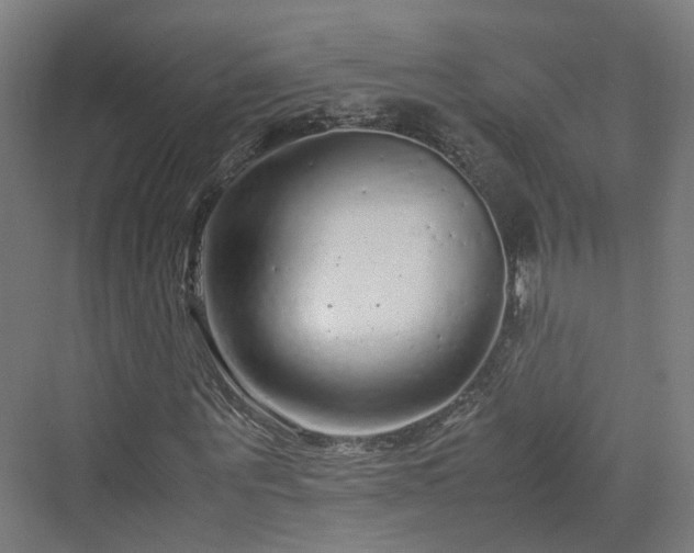 X0000070230867200606021345